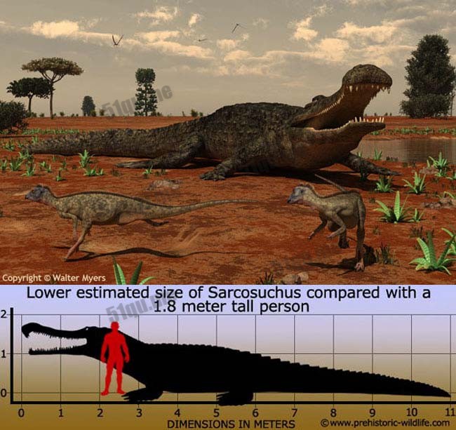 帝鳄（属名Sarcosuchus）