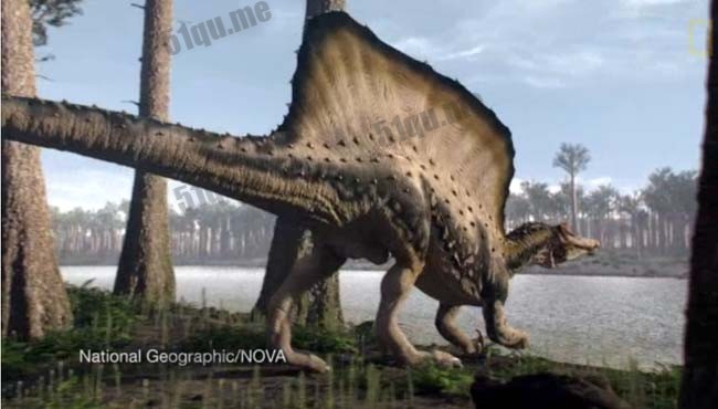 棘龙（拉丁文学名：Spinosaurus）