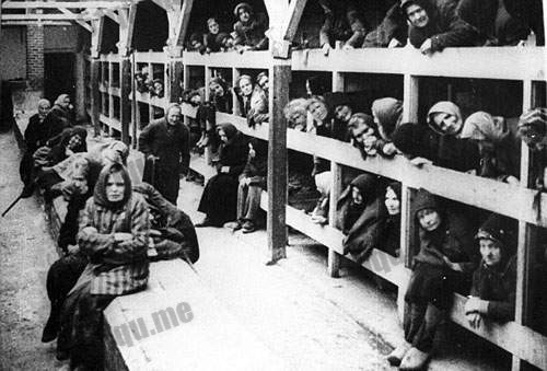 Auschwitz-Birkenau 集中营