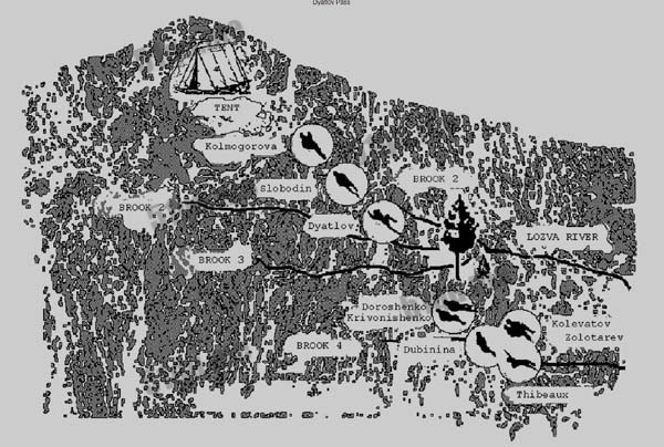 这九人登山队成员当时扎营的位置图
