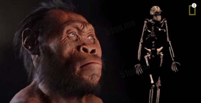 新人种纳莱蒂人（Homo naledi）