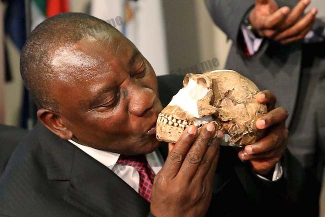 新人种纳莱蒂人（Homo naledi）