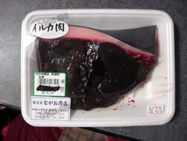 海豚肉