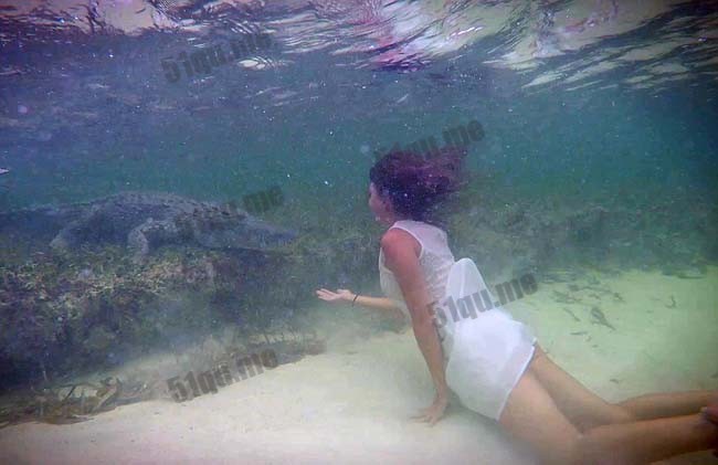 意大利美女模特与鳄鱼水下同游