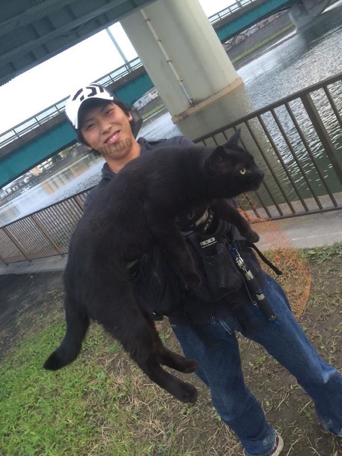 日本网友钓鱼遇到巨型黑色野猫