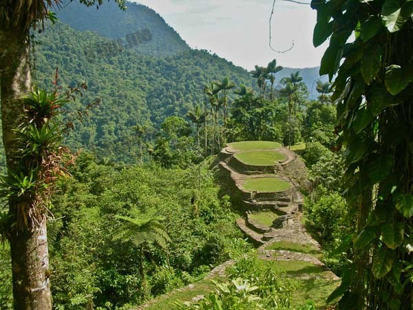 中美洲热带雨林中隐藏的玛雅建筑