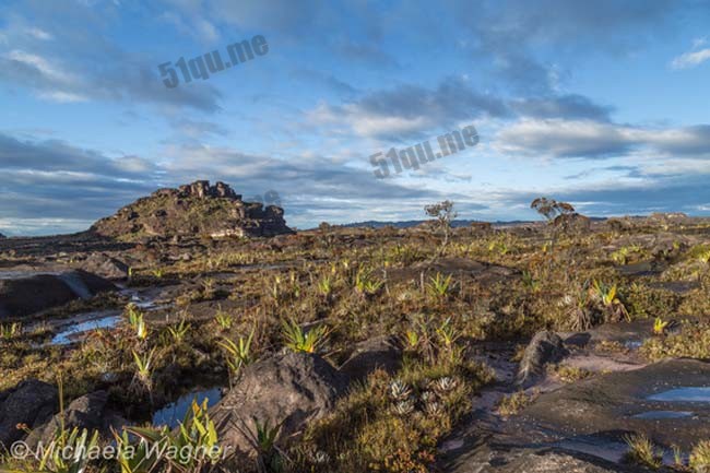 罗赖马山(Mount Roraima)