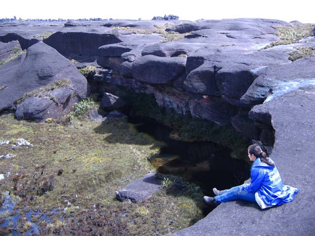 罗赖马山(Mount Roraima)