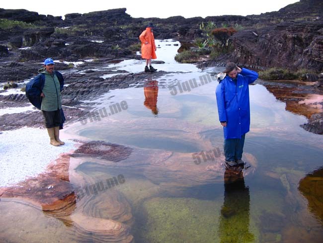 罗赖马山(Mount Roraima)