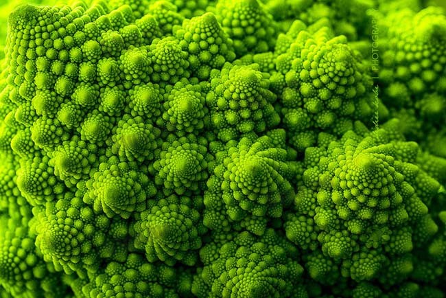 宝塔花菜(Romanesco Broccoli)