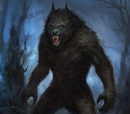 Werewolf（狼人）