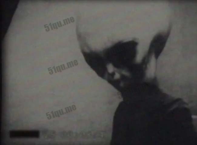 1966年澳大利亚UFO
