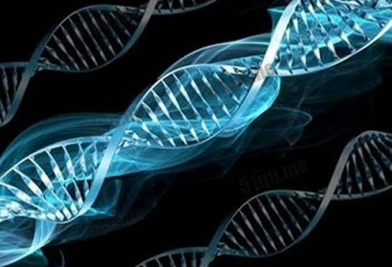 人类发现一组新的DNA密码可以控制基因