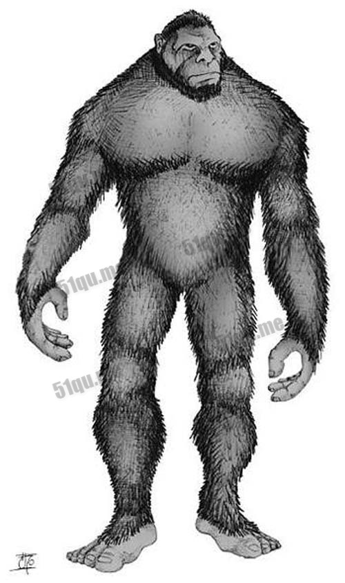 大脚怪 (Bigfoot)