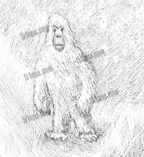 大脚怪 (Bigfoot)