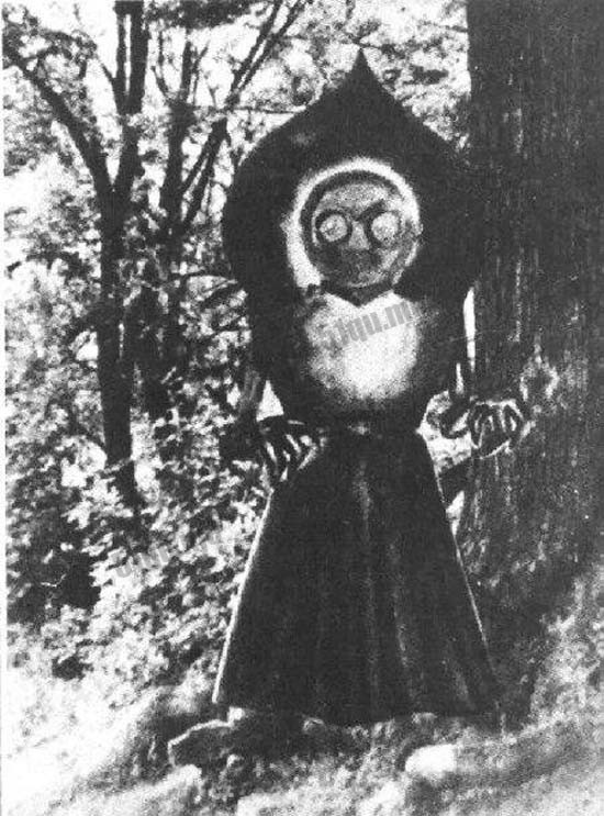 弗拉特伍兹怪物 The Flatwoods Monster