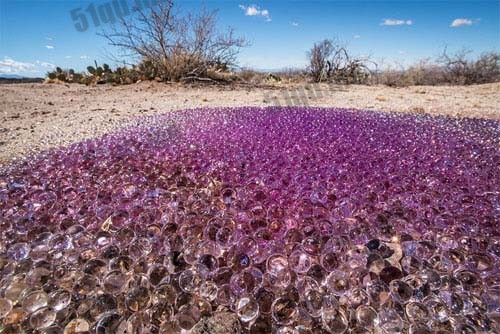 美沙漠现神秘紫球外星蛋