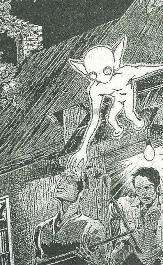 1955年肯塔基州外星人接触事件神秘生物素描