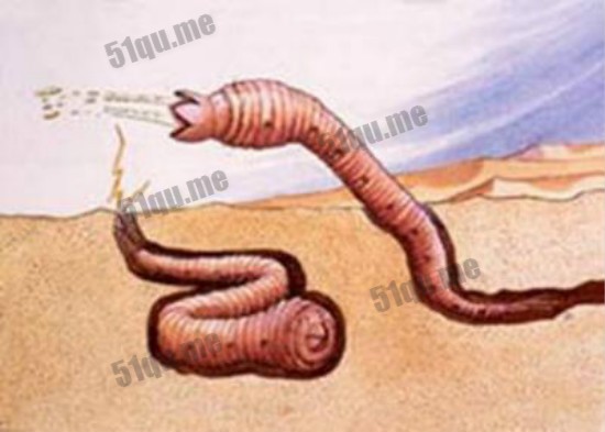 蒙古死亡蠕虫传说