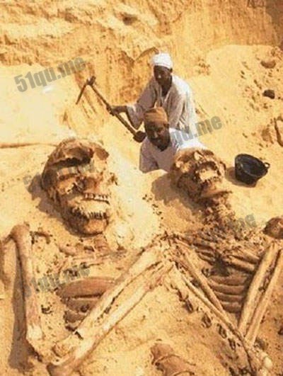 在泰国发现的巨人骨架
