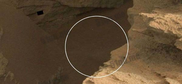 NASA照片显示火星上有东西在爬行