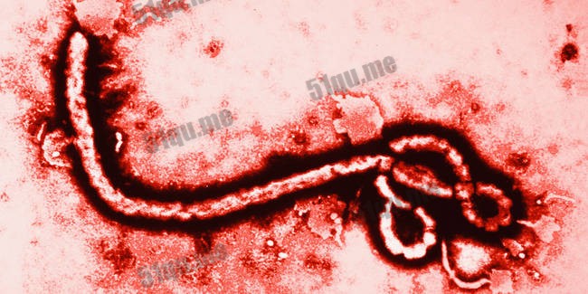 埃博拉病毒诡异的阴谋论观点