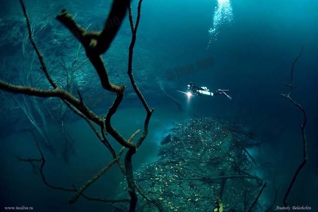 安吉利塔沼穴(Cenote Angelita)