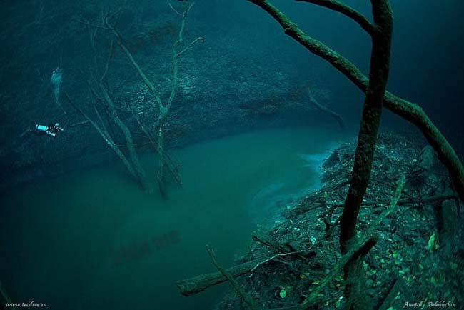 安吉利塔沼穴(Cenote Angelita)