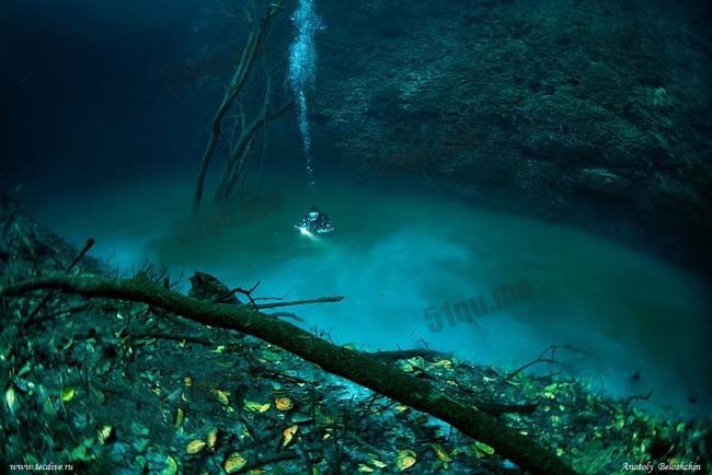 安吉利塔沼穴(Cenote Angelita)