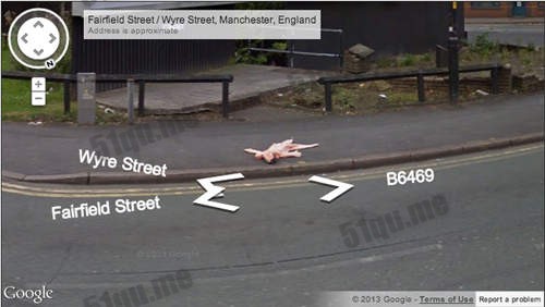 google街景搞笑照片