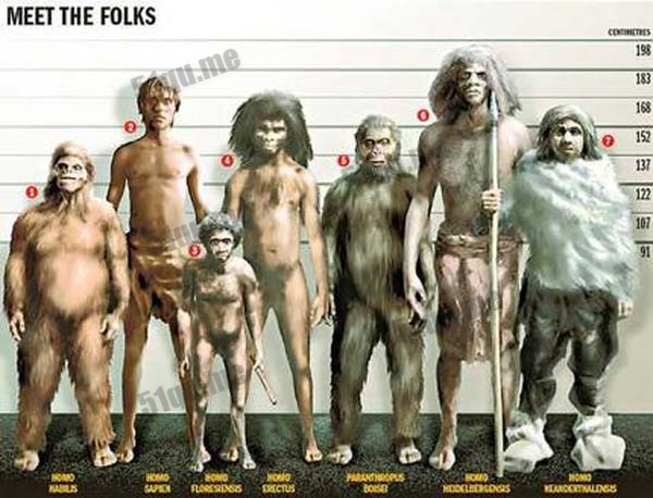 最矮的那个就是“弗洛里斯人”(Homo floresiensis)