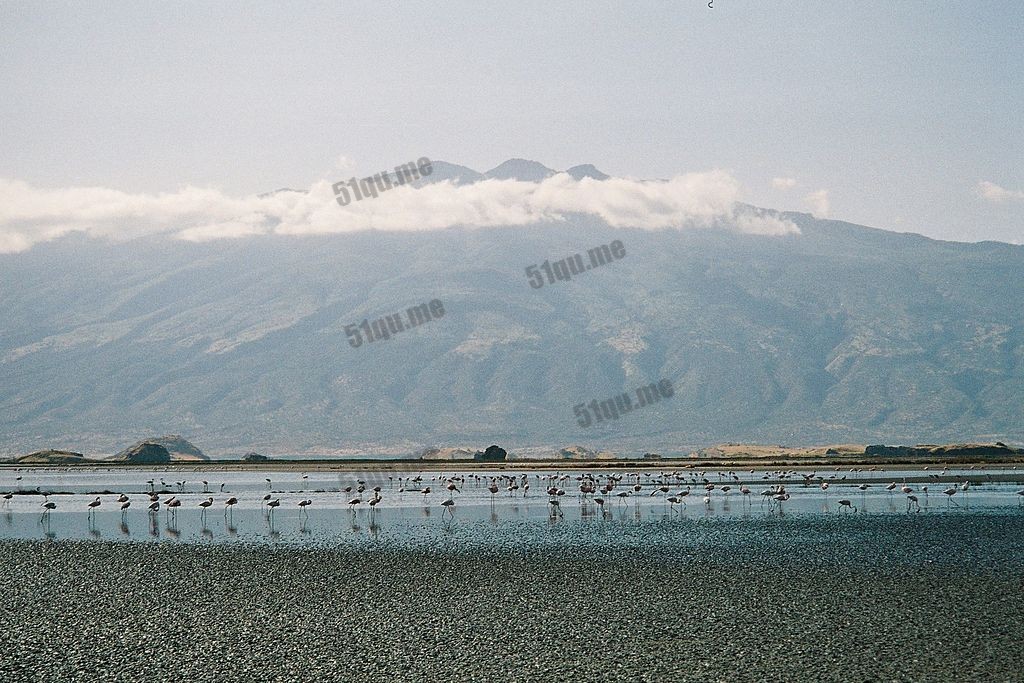 纳特龙湖(Lake Natron)