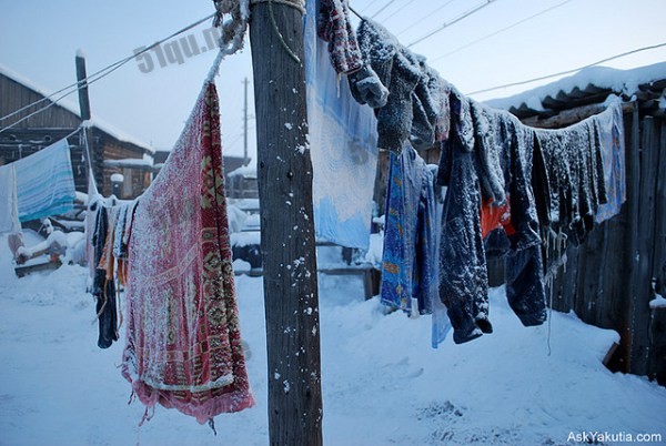 奥伊米亚康(OYMYAKON)