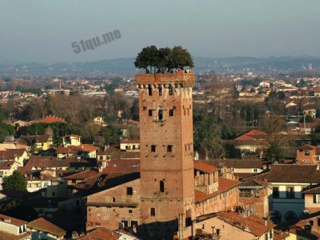 圭尼吉塔(Torre Guinigi)
