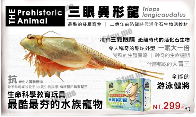 三眼恐龙虾（学名Triops longicaudatus ）