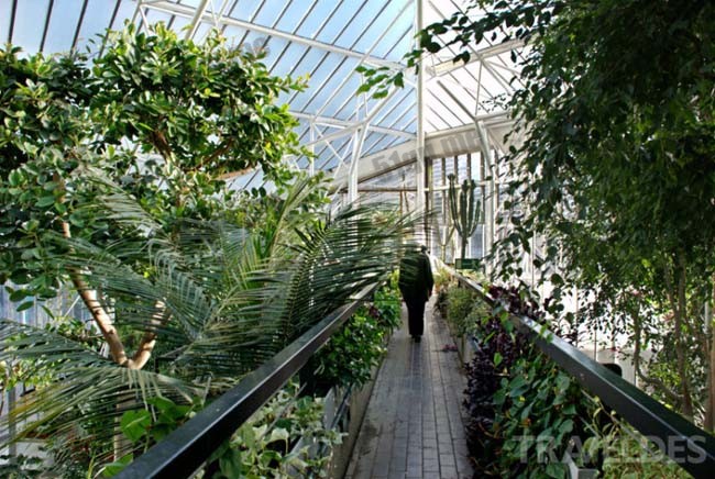 巴比肯花园(Barbican Conservatory)