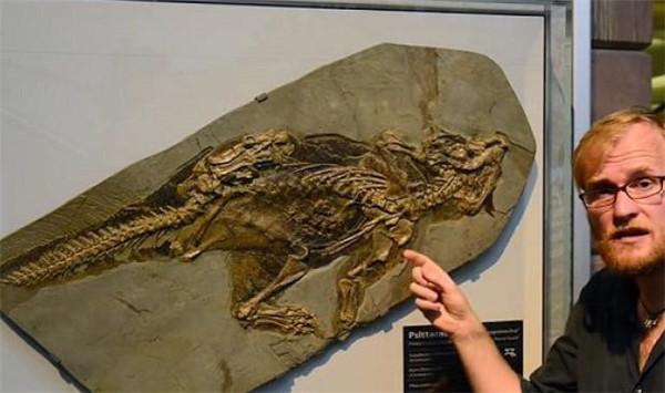 英国科学家发现灭绝多年的变色恐龙，1.2亿年前竟然生活在中国