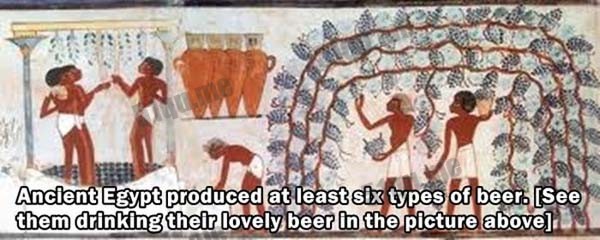 古埃及人至少制造出过六种不同的啤酒。（看图上他们喝啤酒的样子多么享受啊）