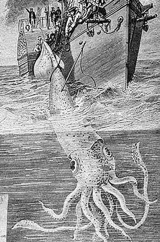北海巨妖（kraken）