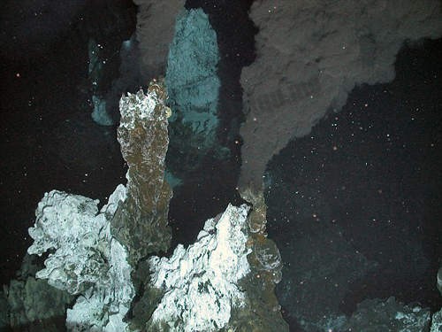 南极深海675公尺底下的异形怪物