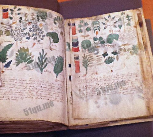 Voynich Manuscript（伏尼契手稿）