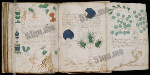 Voynich Manuscript（伏尼契手稿）