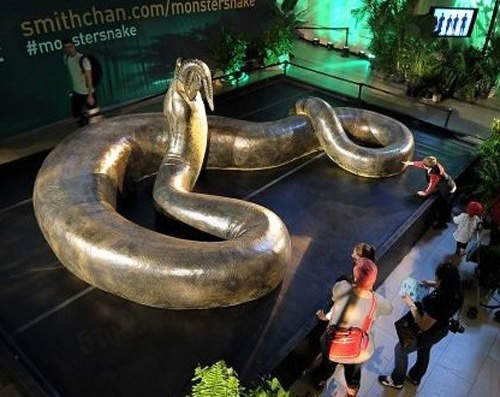 Titanoboa 泰坦巨蟒