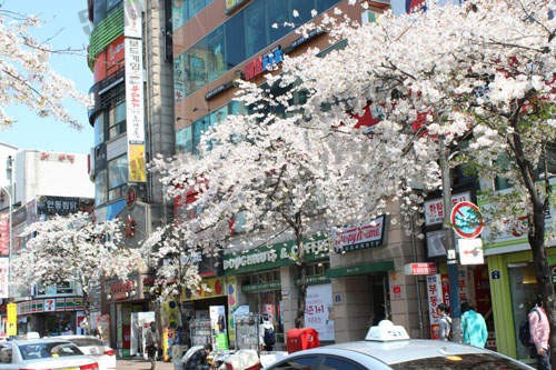 韩国的都市传说