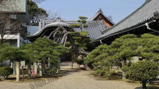 日本大阪府守口市的来迎寺