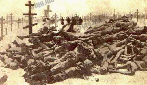 苏联1932-1933年饥荒10万人死亡（russian famine ）