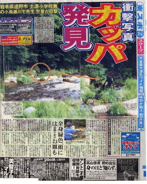 日本新闻报道的真实水猴子事件
