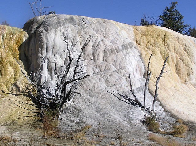 yellowstone-740708_640